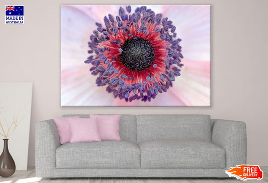 Anemone Flower Closeup Macro Photograph Print 100% Australian Made