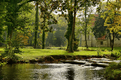 River Near House & Tall Trees Photograph Print 100% Australian Made