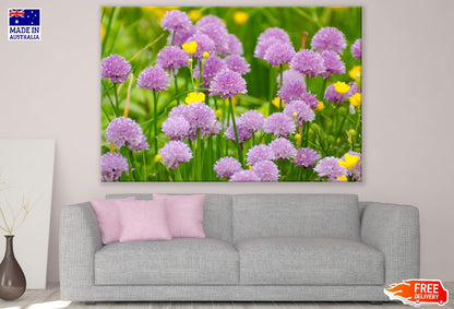 Purple Chrysanthemum Flowers Closeup Photograph Print 100% Australian Made