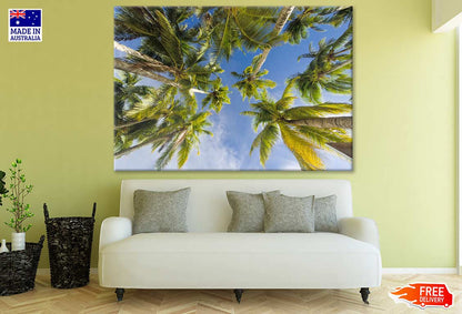 Palm Trees View From Below Photograph Print 100% Australian Made