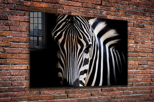 Equus Zebra Closeup B&W Print Tempered Glass Wall Art 100% Made in Australia Ready to Hang