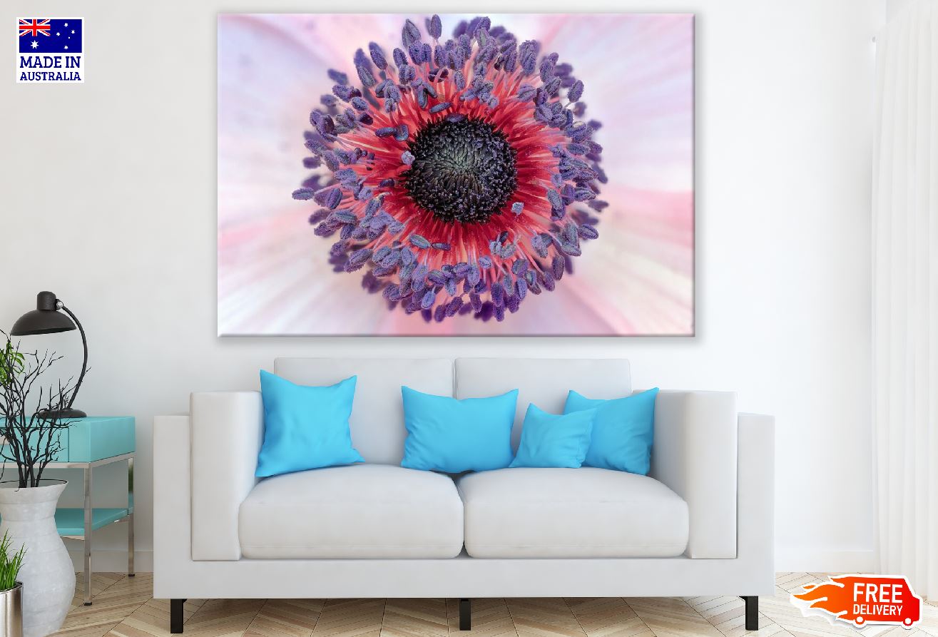 Anemone Flower Closeup Macro Photograph Print 100% Australian Made
