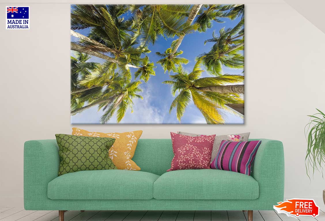 Palm Trees View From Below Photograph Print 100% Australian Made