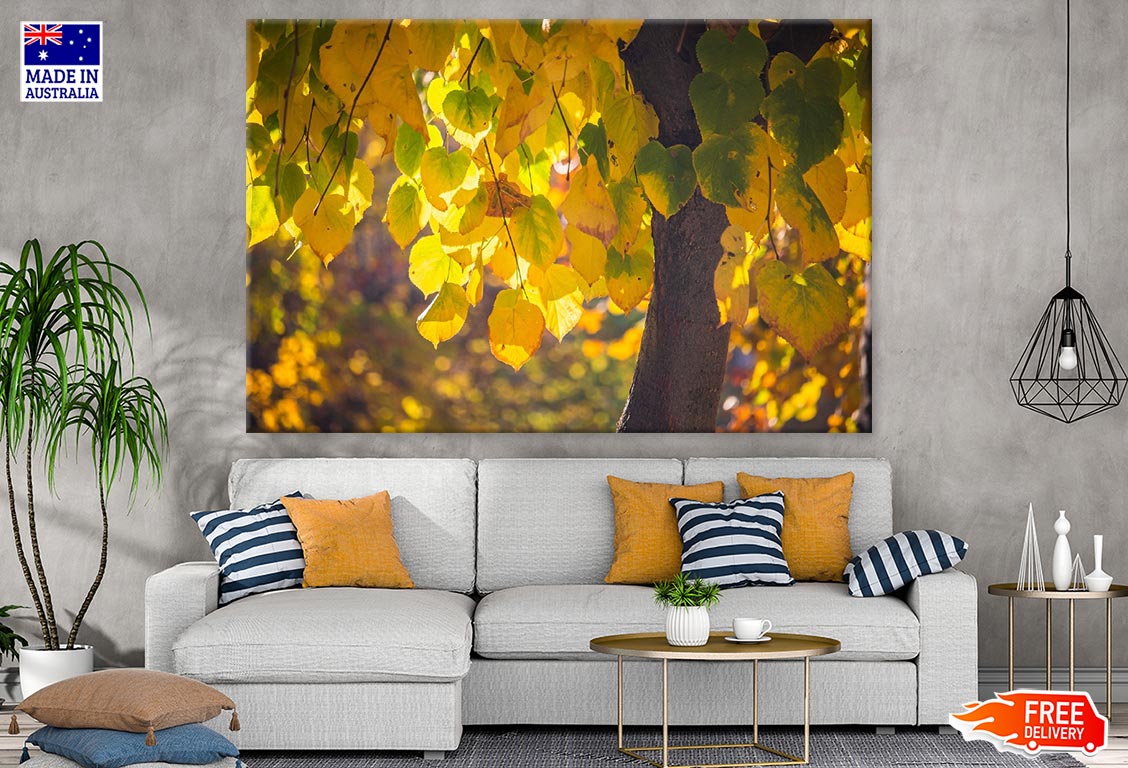 Yellow Leaves Closeup Photograph Print 100% Australian Made