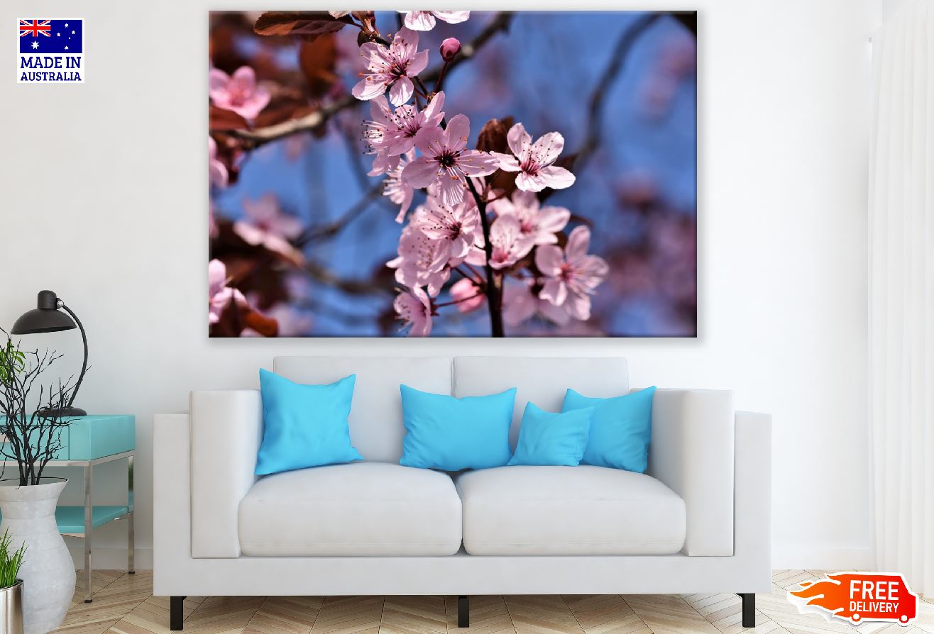 Ornamental Cherry Flowers Closeup Photograph Print 100% Australian Made