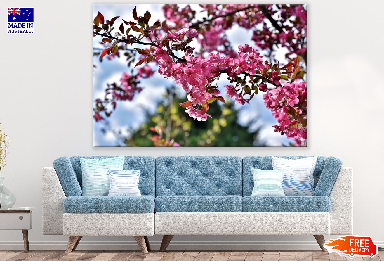 Ornamental Cherry Flowers with Branch Photograph Print 100% Australian Made