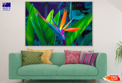 Colorful Paradise Flower Closeup Photograph Print 100% Australian Made