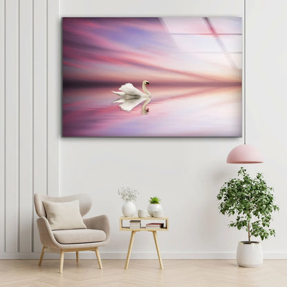 Swan on Lake Sunset Photograph Acrylic Glass Print Tempered Glass Wall Art 100% Made in Australia Ready to Hang