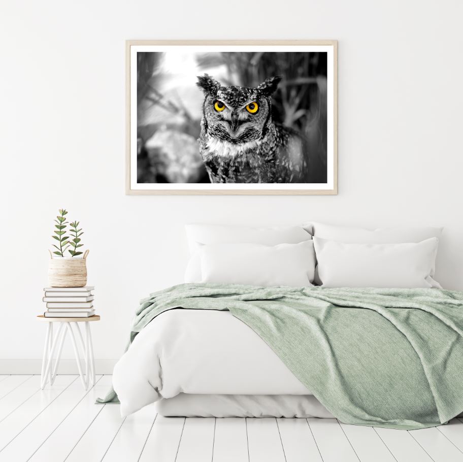 Owl Face Portrait Photograph Home Decor Premium Quality Poster Print Choose Your Sizes