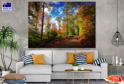 Autumn Tree Forest & Road Photograph Print 100% Australian Made