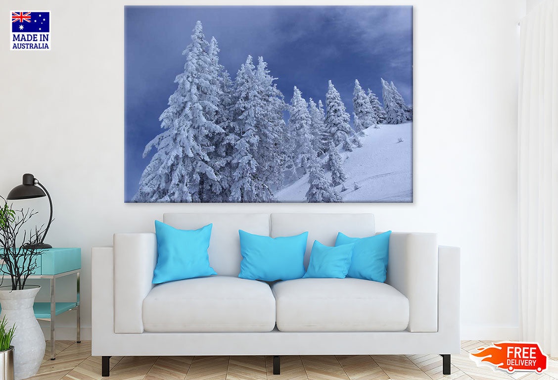 Snow Covered Trees on Mountain Photograph Print 100% Australian Made