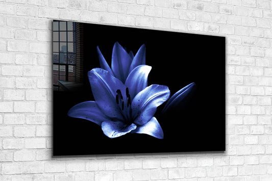 Blue Flower on Dark Print Tempered Glass Wall Art 100% Made in Australia Ready to Hang