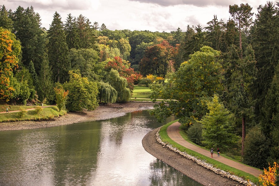 Autumn Trees Garden Pathway & Lake View Print 100% Australian Made