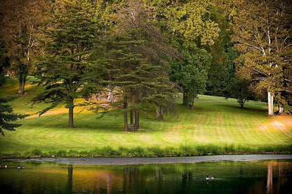 Park Columnar Trees Autumn Photograph Print 100% Australian Made