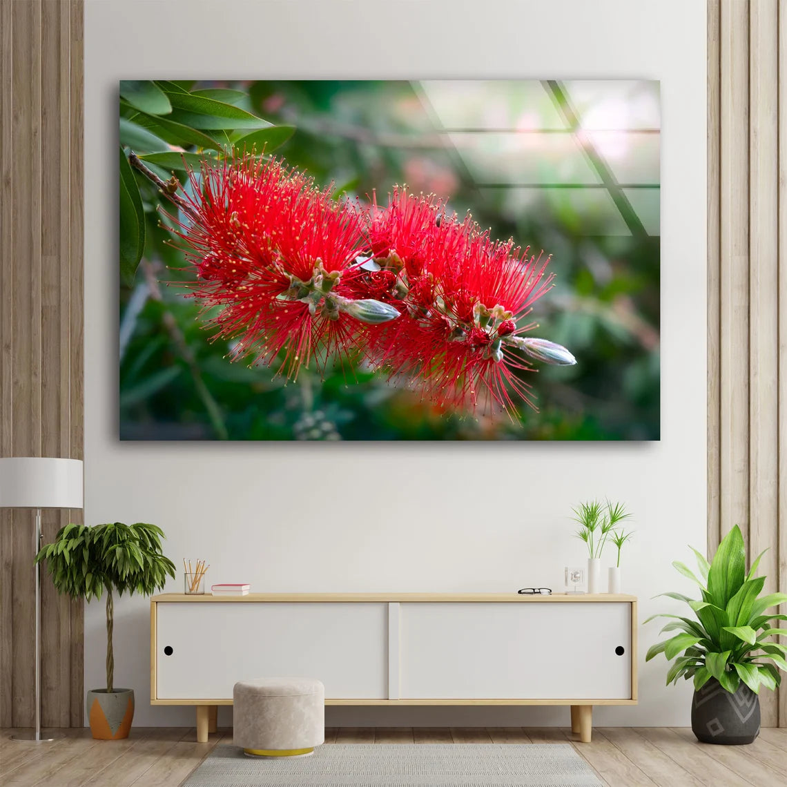 Red Flower Closeup Photograph Acrylic Glass Print Tempered Glass Wall Art 100% Made in Australia Ready to Hang