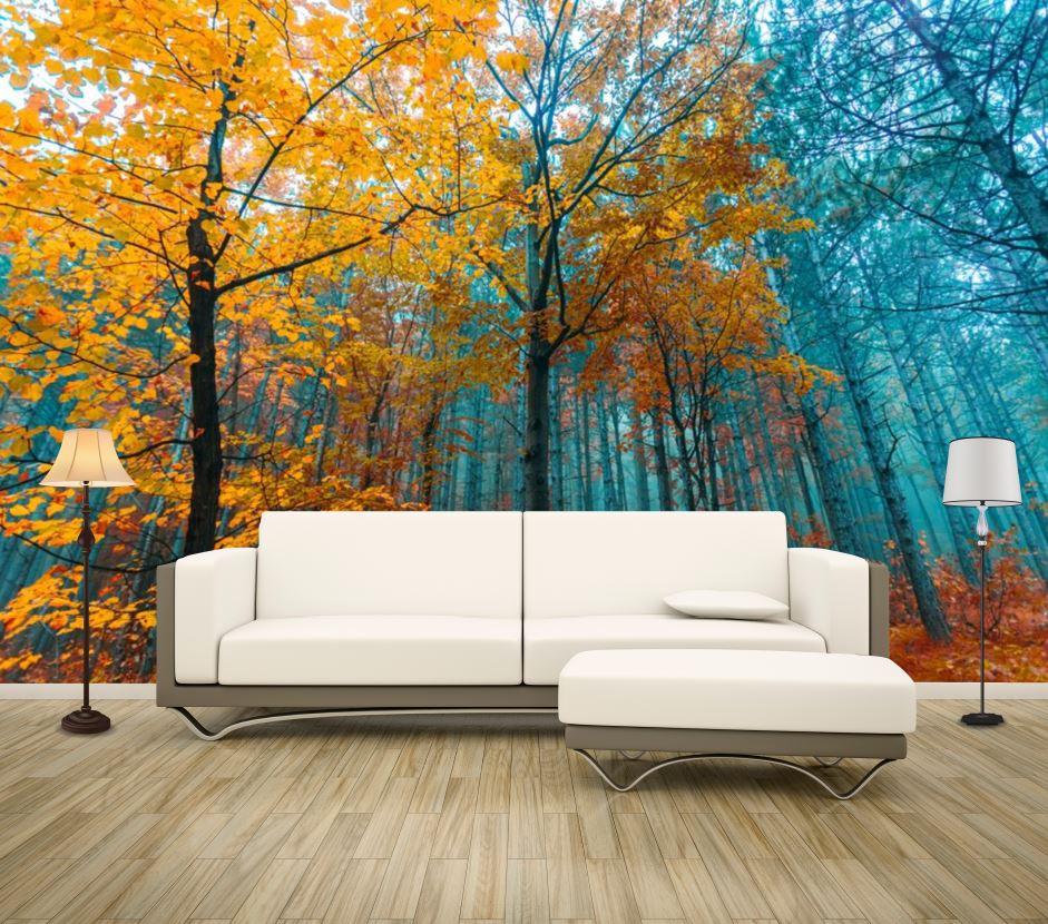 Wallpaper Murals Peel and Stick Removable Autumn Forest Photograph High Quality