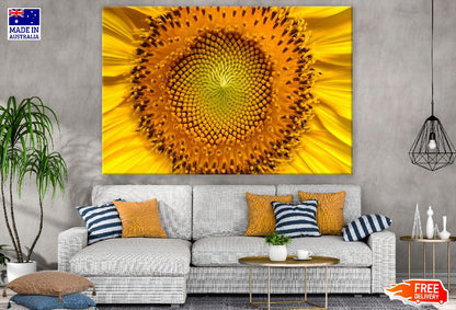 Sunflower Macro Photograph Print 100% Australian Made