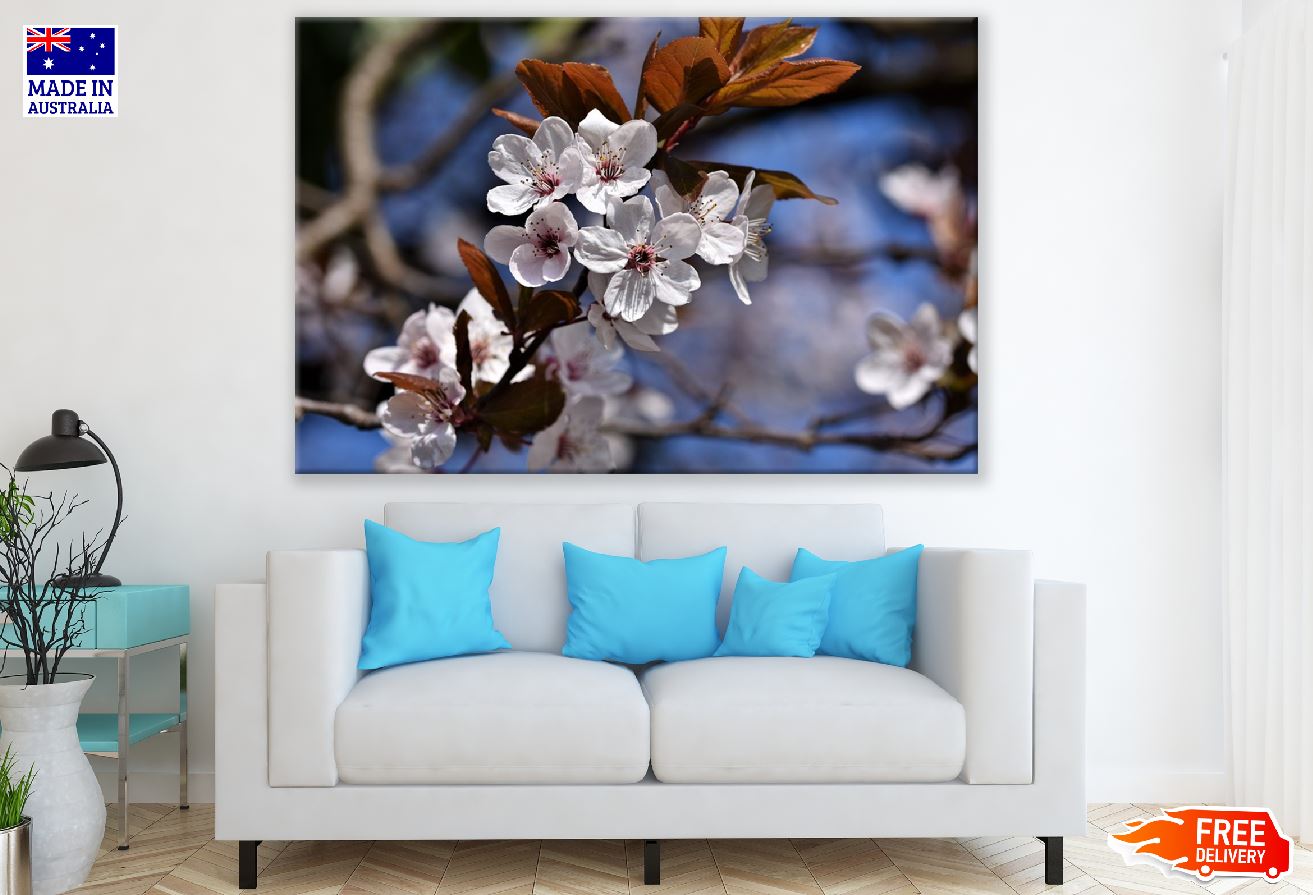 White Cherry Flowers Closeup Photograph Print 100% Australian Made