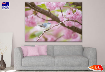 Pink Flower with Bird Photograph Print 100% Australian Made