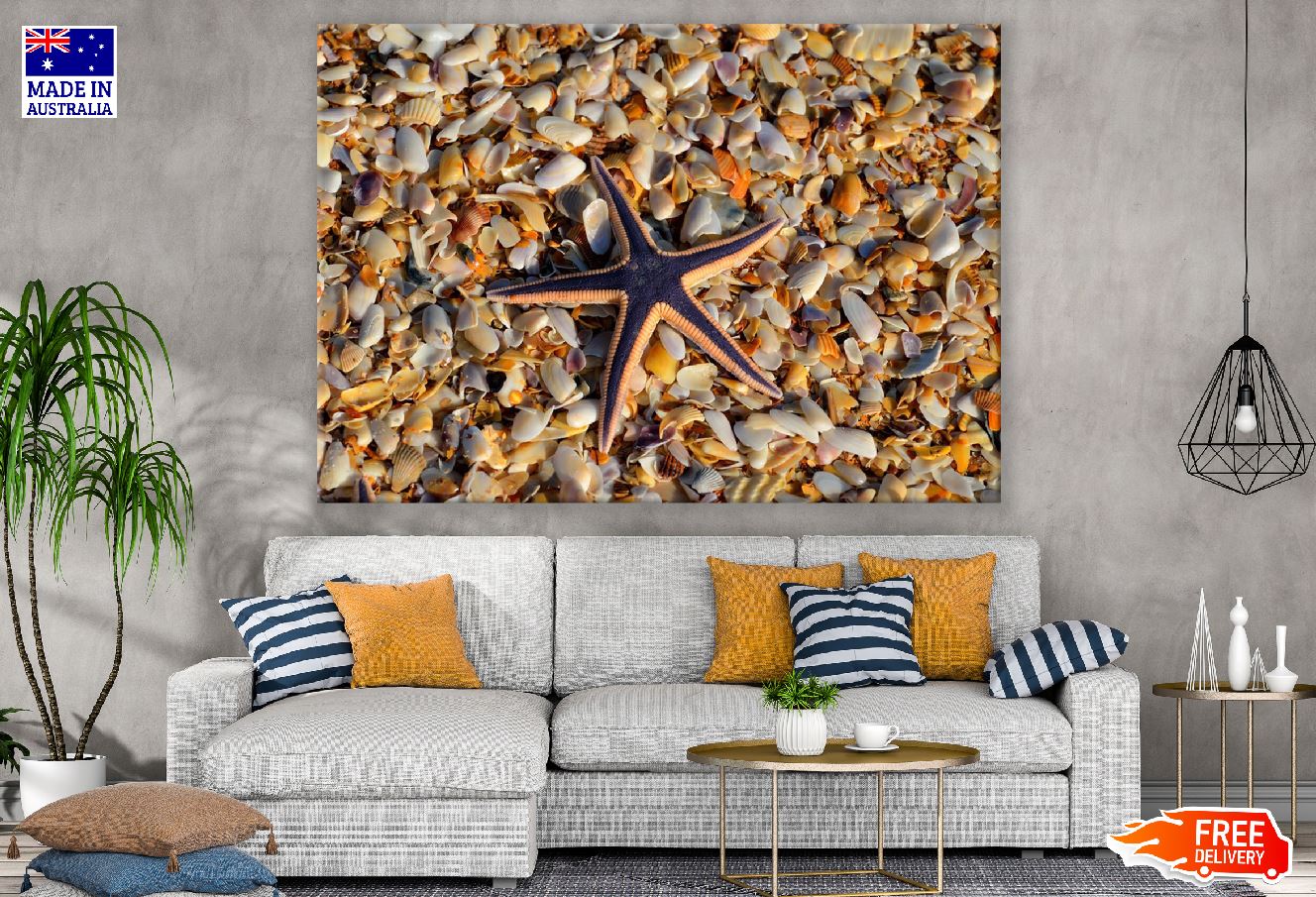 Starfish on Sea Shell Closeup Photograph Print 100% Australian Made