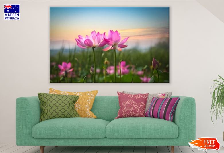 Beautiful Lotus Flower Print 100% Australian Made