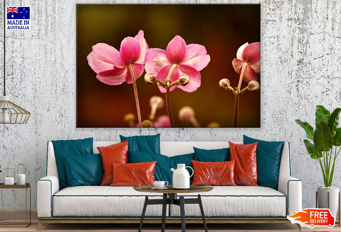 Pink Anemone Flowers Backview Photograph Print 100% Australian Made