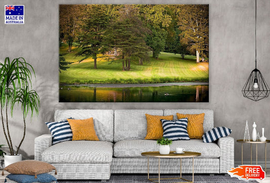 Park Columnar Trees Autumn Photograph Print 100% Australian Made