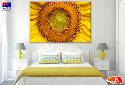 Sunflower Macro Photograph Print 100% Australian Made