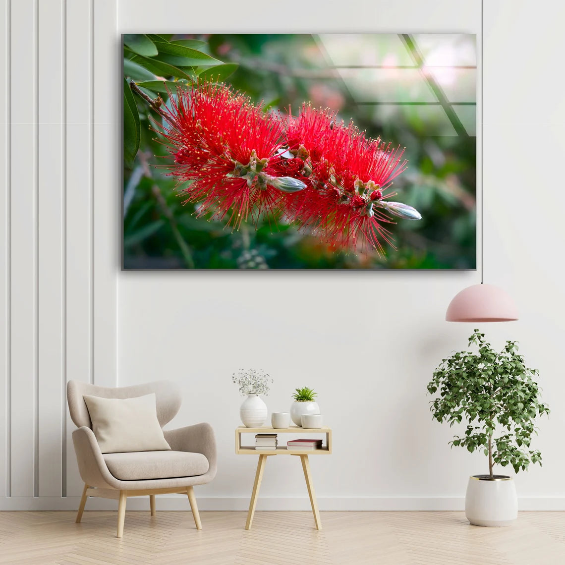 Red Flower Closeup Photograph Acrylic Glass Print Tempered Glass Wall Art 100% Made in Australia Ready to Hang