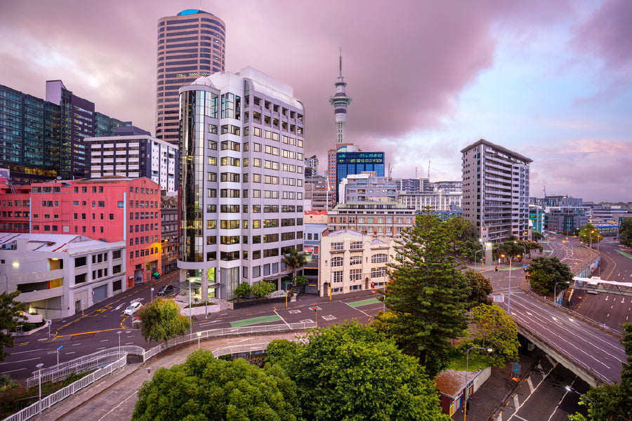 Auckland Skyline View Photograph New Zealand Print 100% Australian Made