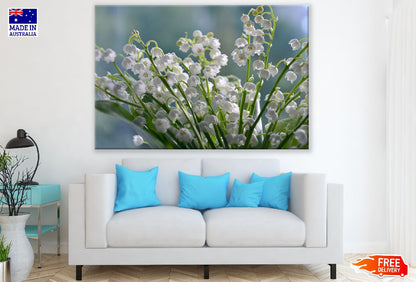 May Flowers Closeup Photograph Print 100% Australian Made