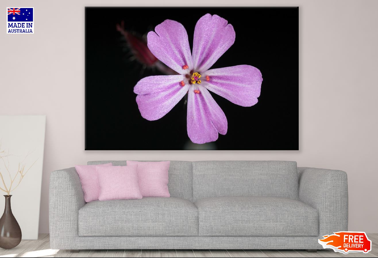 Tiny Pink Flower Closeup Photograph Print 100% Australian Made