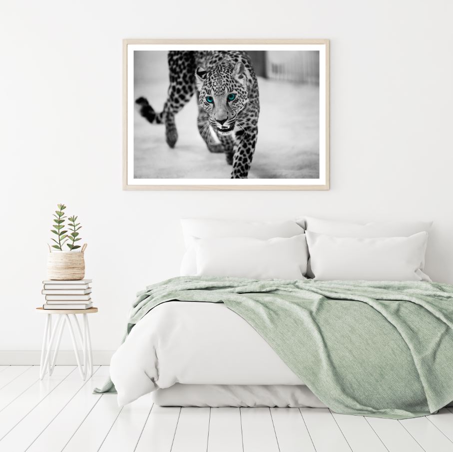 Leopard Walking B&W Photograph Home Decor Premium Quality Poster Print Choose Your Sizes