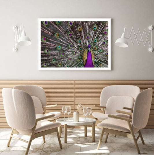 Peacock Closeup Photograph Home Decor Premium Quality Poster Print Choose Your Sizes