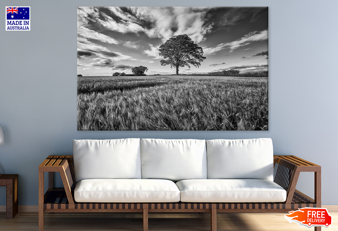 B&W Trees & Sky View Photograph Print 100% Australian Made