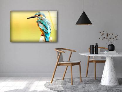 Kingfisher Bird Closeup Photograph Acrylic Glass Print Tempered Glass Wall Art 100% Made in Australia Ready to Hang