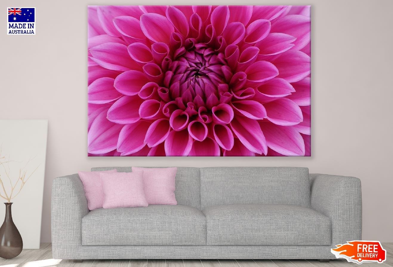 Pink Dahlia Flower Petals Photograph Print 100% Australian Made