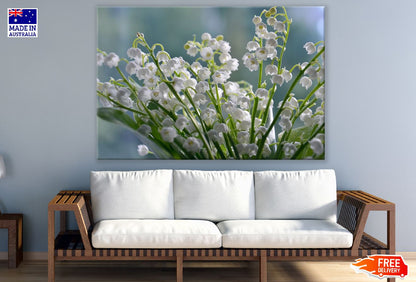 May Flowers Closeup Photograph Print 100% Australian Made