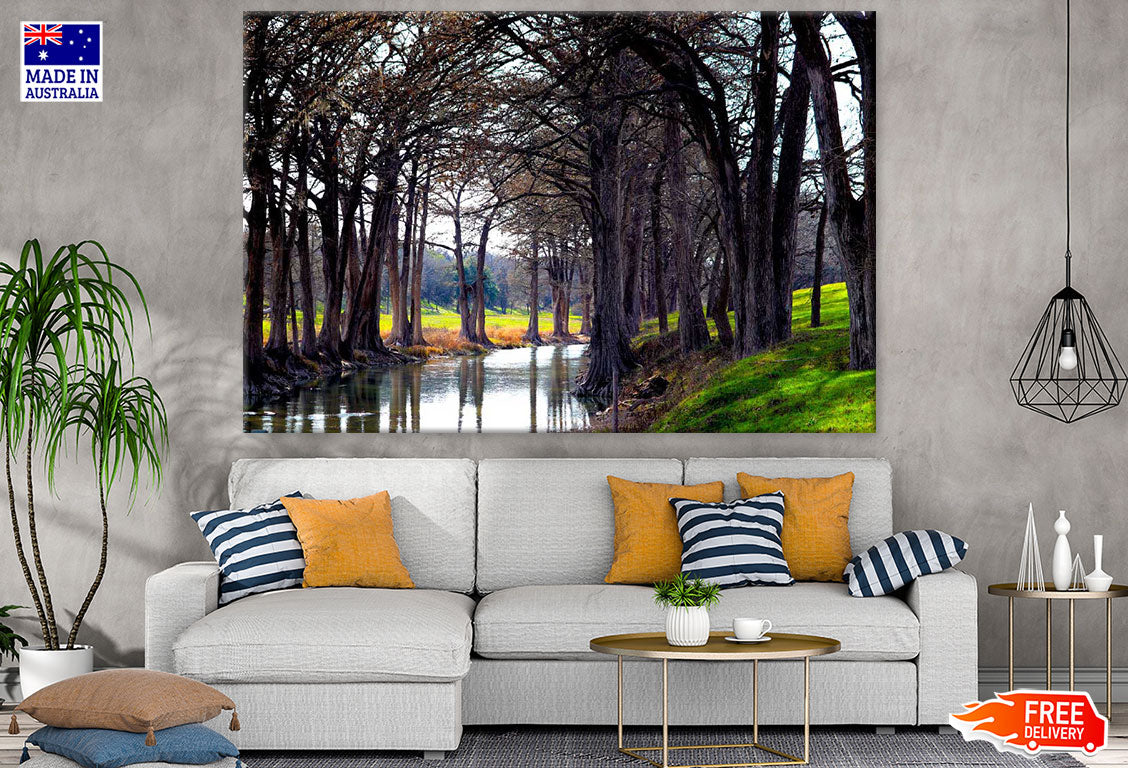 Trees Row Along River Photograph Print 100% Australian Made