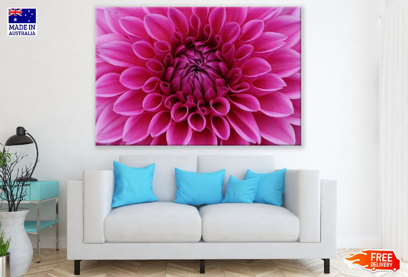 Pink Dahlia Flower Petals Photograph Print 100% Australian Made