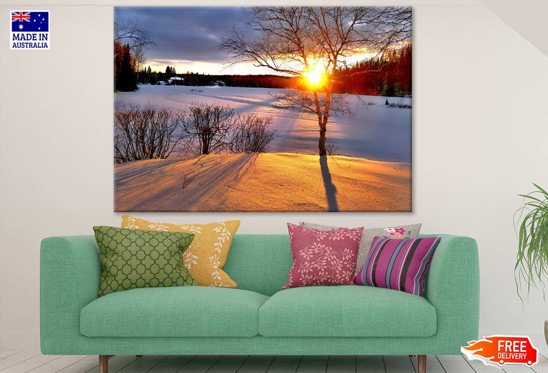 Trees & Snow Covered Ground Photograph Print 100% Australian Made