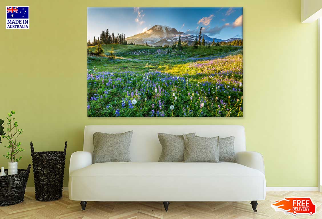 Blue & White Flower Field View Photograph Print 100% Australian Made