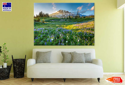 Blue & White Flower Field View Photograph Print 100% Australian Made