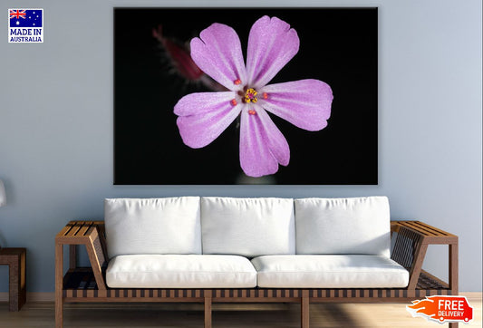 Tiny Pink Flower Closeup Photograph Print 100% Australian Made