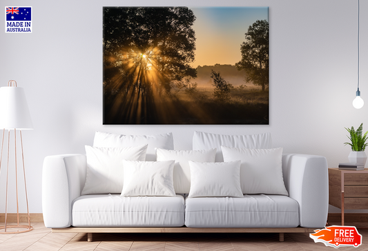 Nature Forest & Sunlight View Photograph Print 100% Australian Made