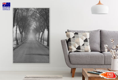 Road Covered With Trees B&W Photograph Print 100% Australian Made