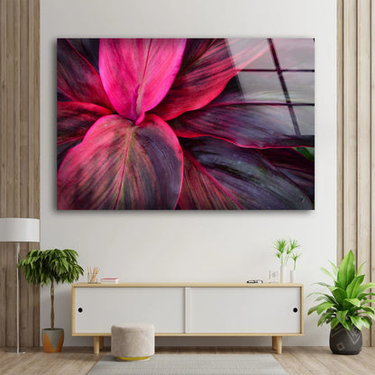 Purple Leaves Photograph Acrylic Glass Print Tempered Glass Wall Art 100% Made in Australia Ready to Hang