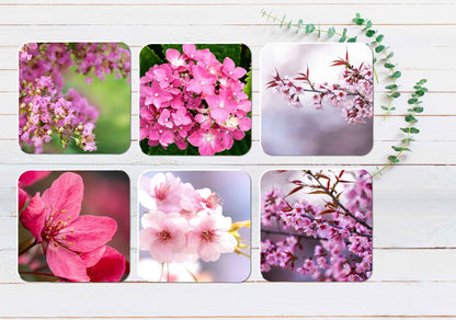 Pink Blossom Trees & Flowers Branch Coasters Wood & Rubber - Set of 6 Coasters