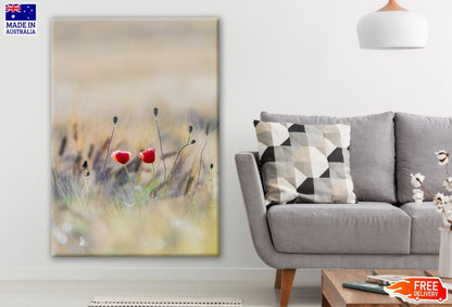Red Flowers Closeup Photograph Print 100% Australian Made