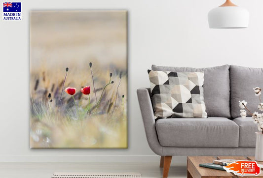 Red Flowers Closeup Photograph Print 100% Australian Made